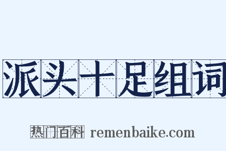 派头十足组词是什么意思的图片